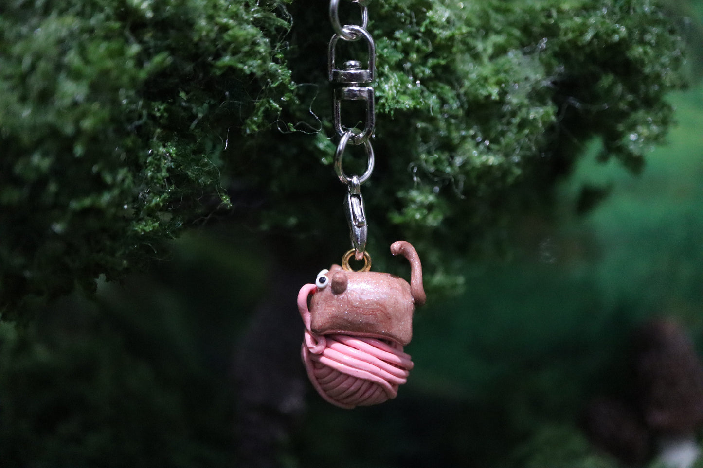 Lord Pouncelot .☘︎ ݁˖