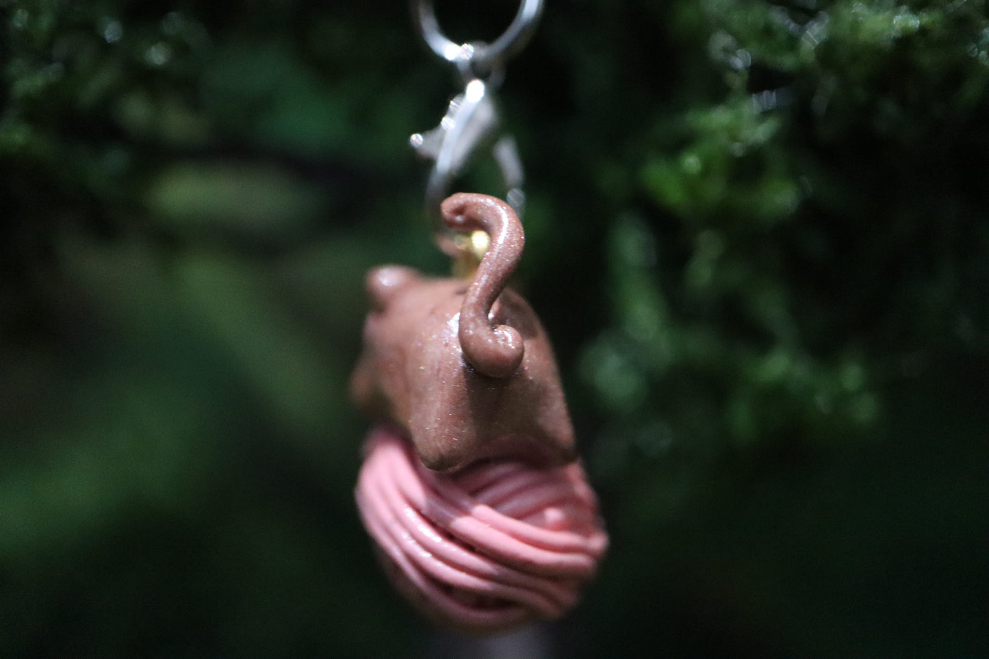 Lord Pouncelot .☘︎ ݁˖