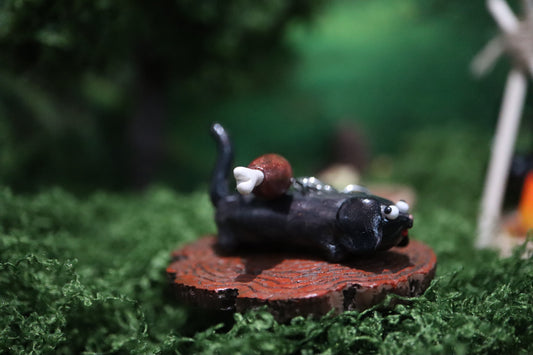 Snumble .☘︎ ݁˖