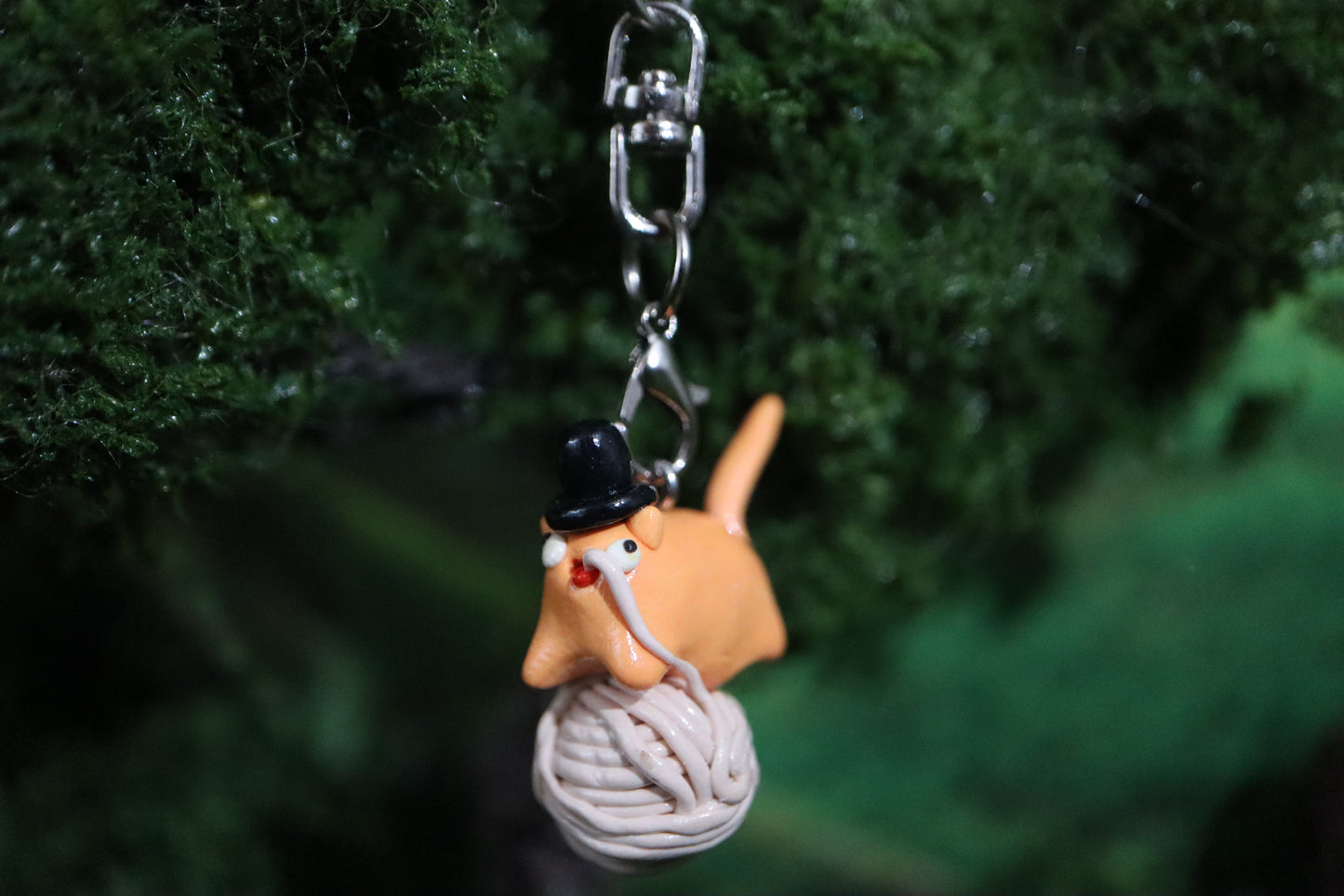 Chairman Meow .☘︎ ݁˖