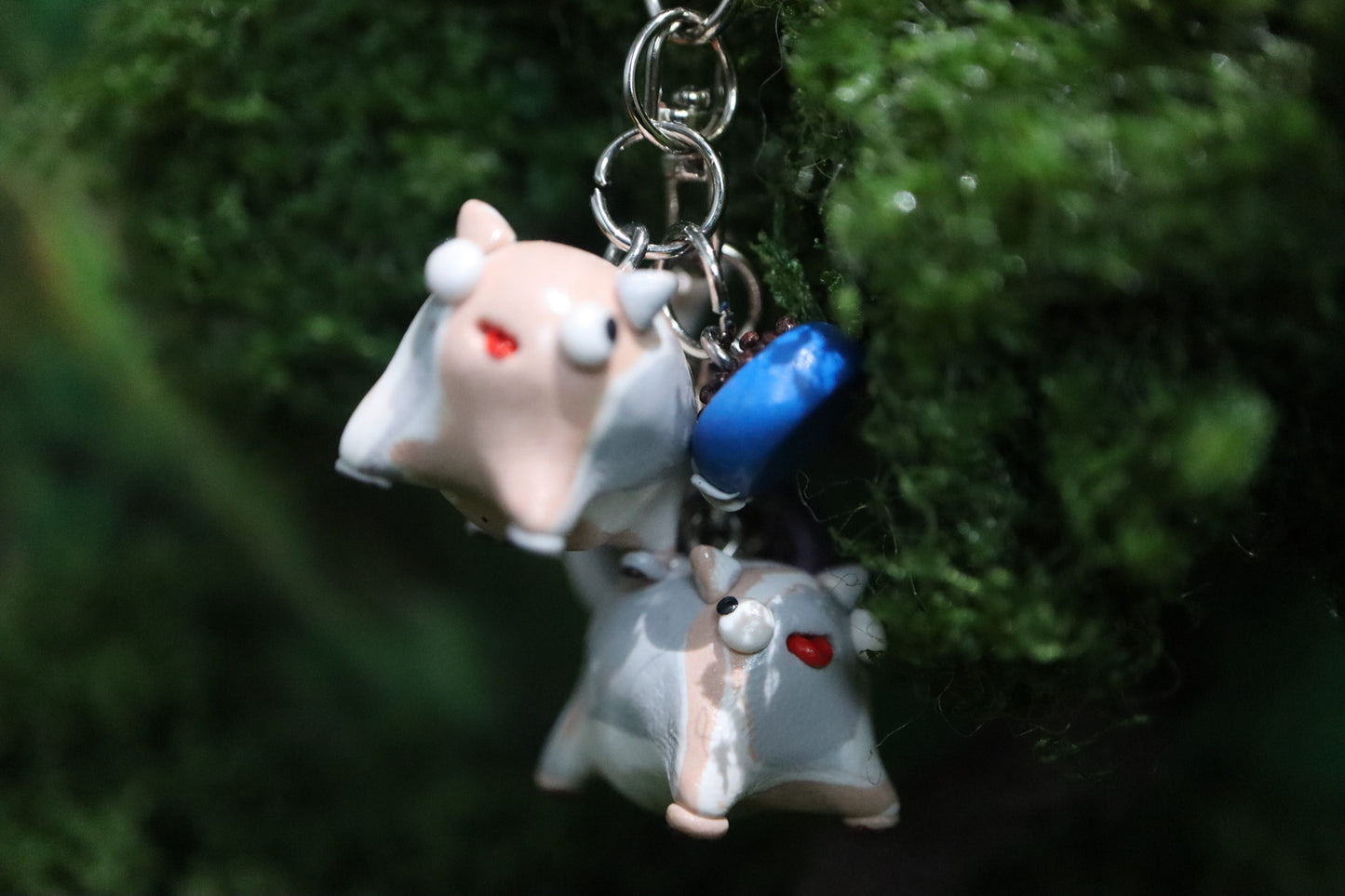 Fay .☘︎ ݁˖  & Lune .☘︎ ݁˖