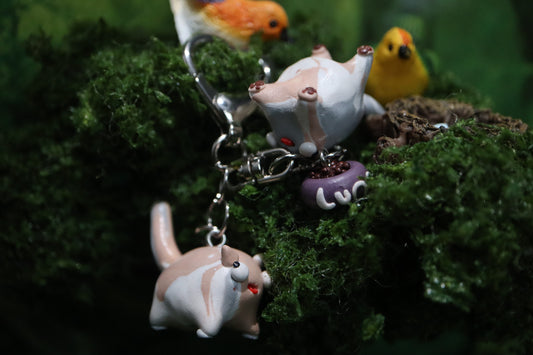 Fay .☘︎ ݁˖  & Lune .☘︎ ݁˖