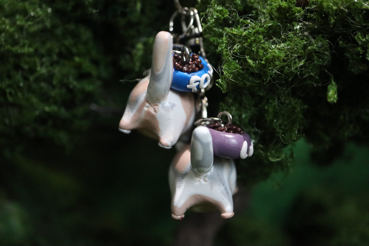 Fay .☘︎ ݁˖  & Lune .☘︎ ݁˖