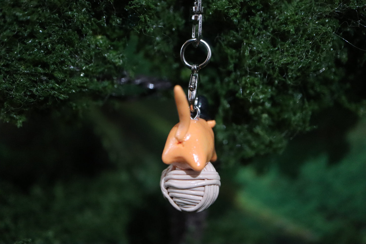 Chairman Meow .☘︎ ݁˖