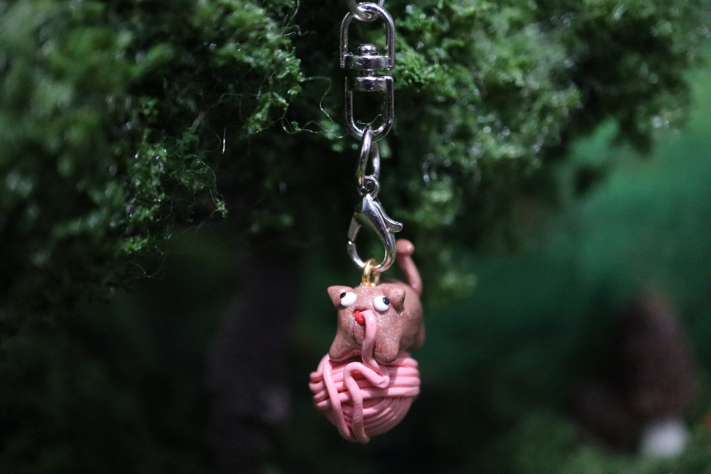 Lord Pouncelot .☘︎ ݁˖